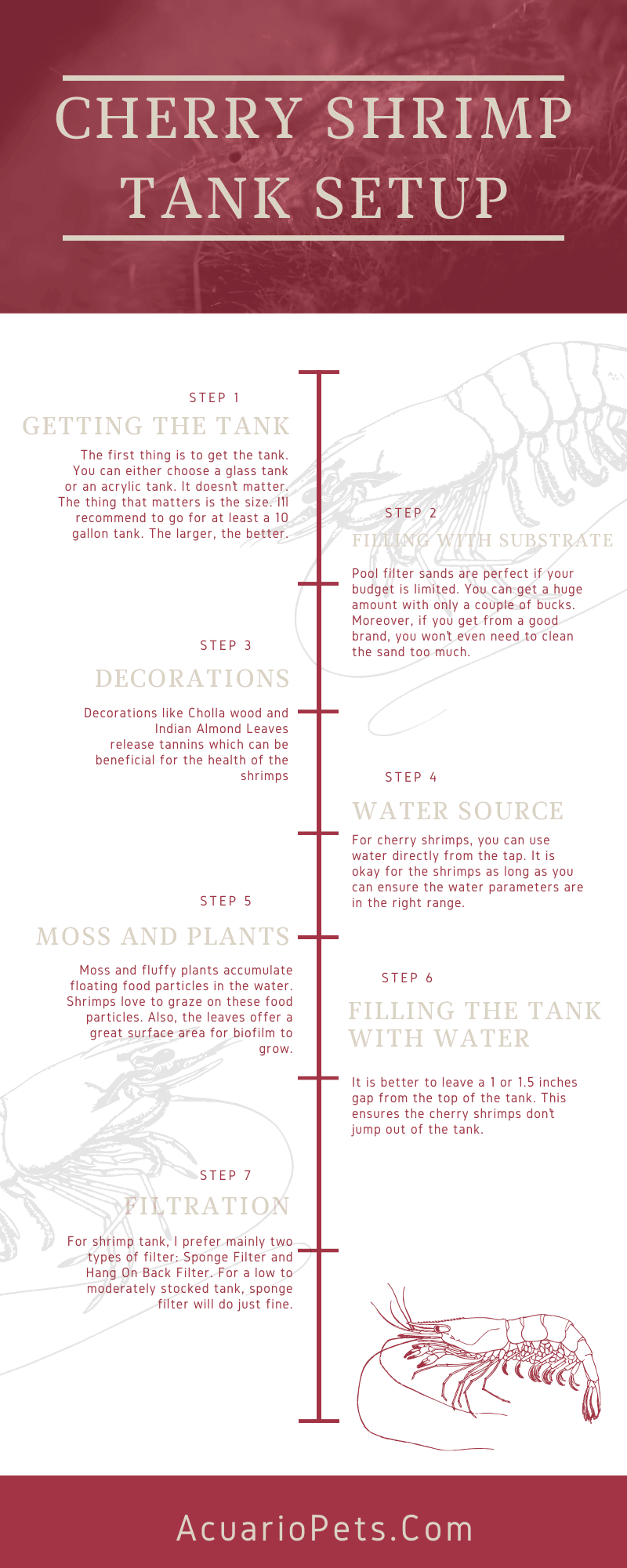 cherry shrimp tank setup infographic