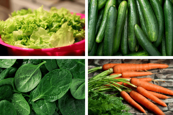 feeding cherry shrimp vegetables