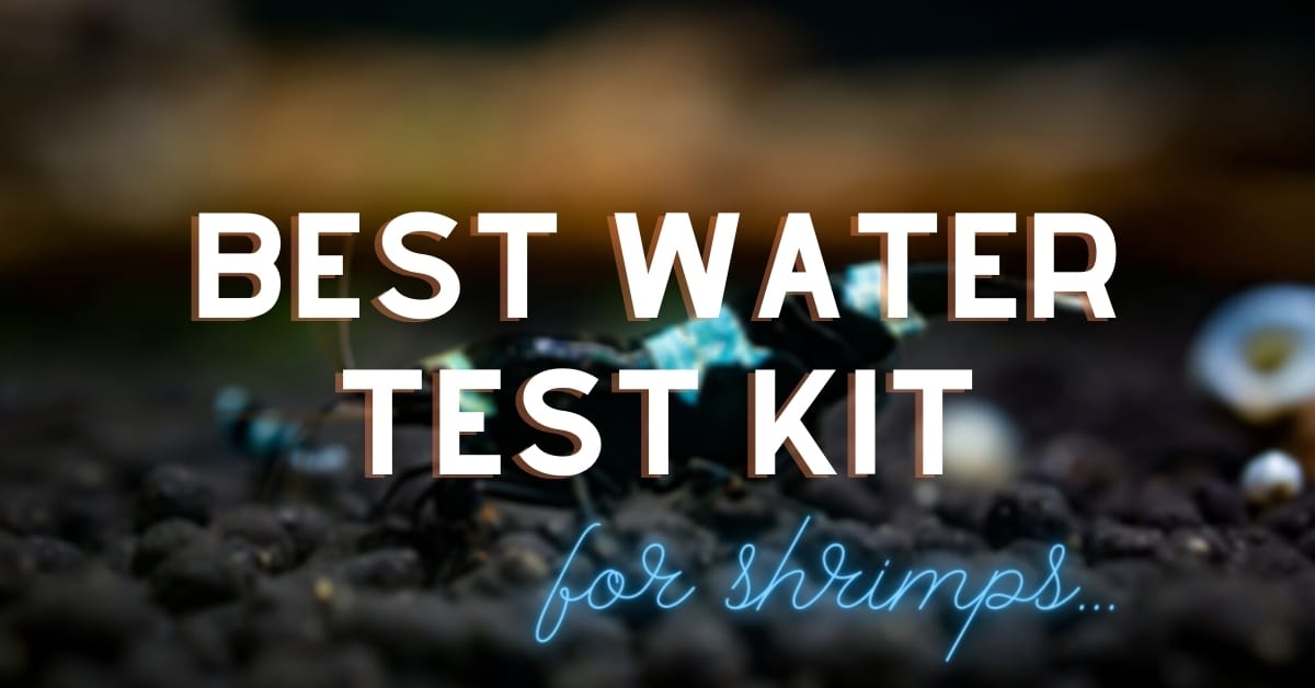 Best Water Test Kit for shrimps