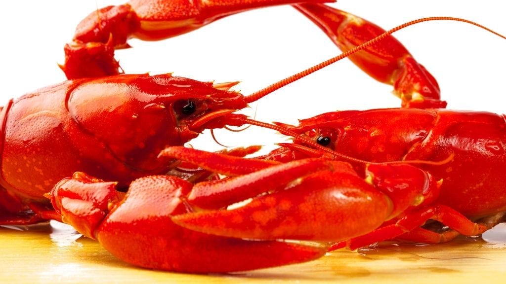 How Do Crayfish Protect Themselves
