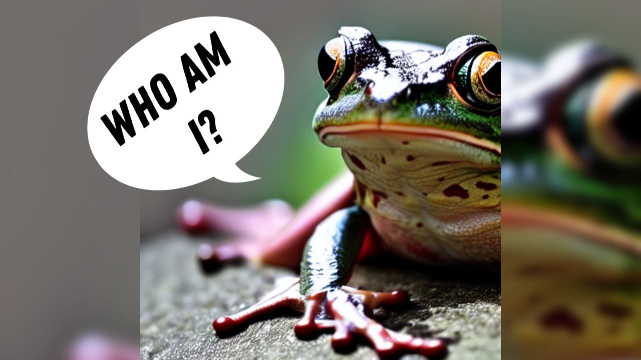 Is A Frog Reptile? [Find Out]