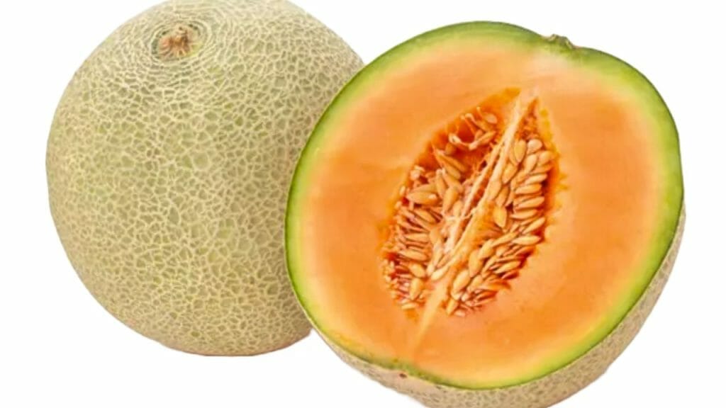 Can Bearded Dragons Eat Cantaloupe? 2 Bearded Dragons Eat Cantaloupe Can Bearded Dragons Eat Cantaloupe?