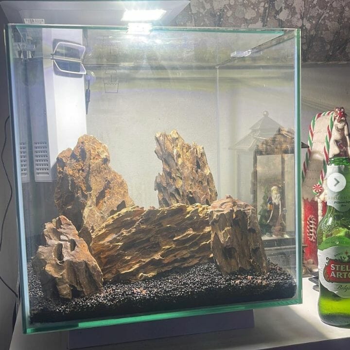 shrimp tank setup aquascape