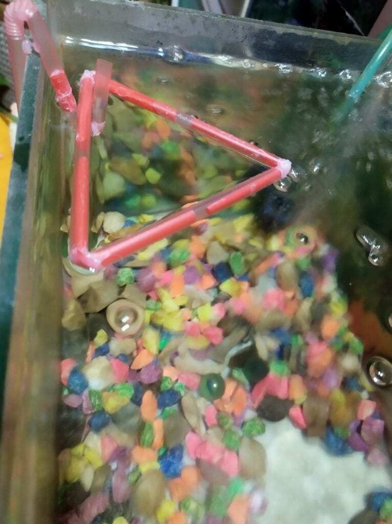 DIY Betta Feeding Ring (Triangle) Step 13