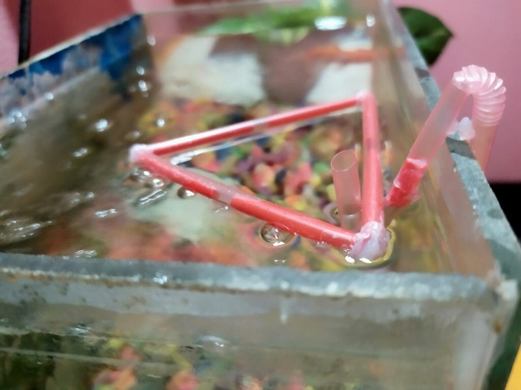 DIY Betta Feeding Ring (Triangle) Step 14