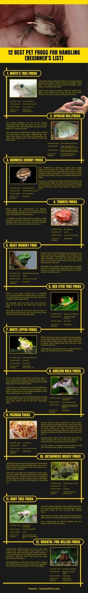 best pet frogs for handling infographic