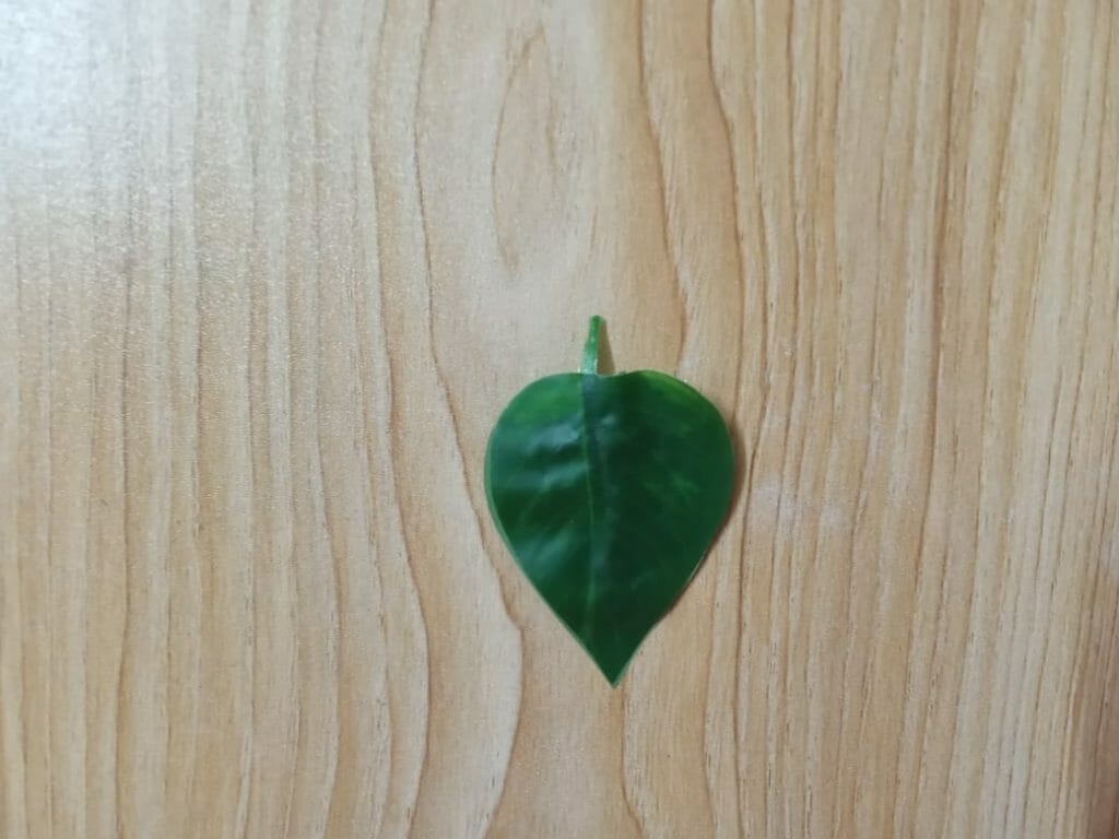 diy betta hammock Cheap Silk Plastic Leaf Step 2 (2)