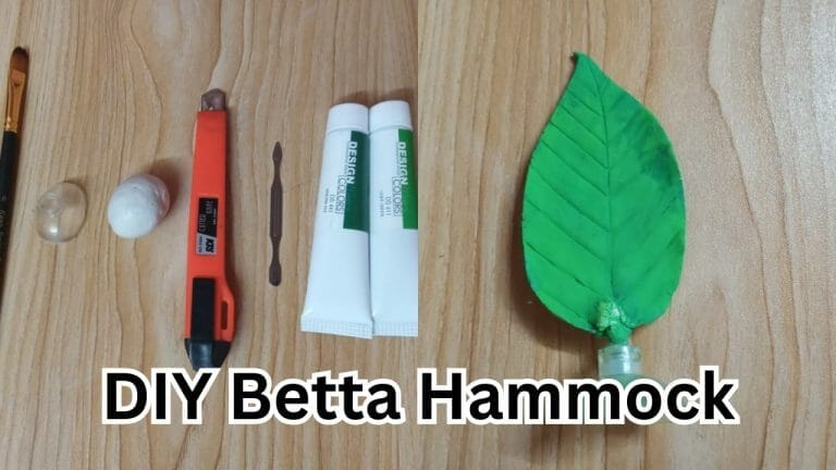 diy betta hammock