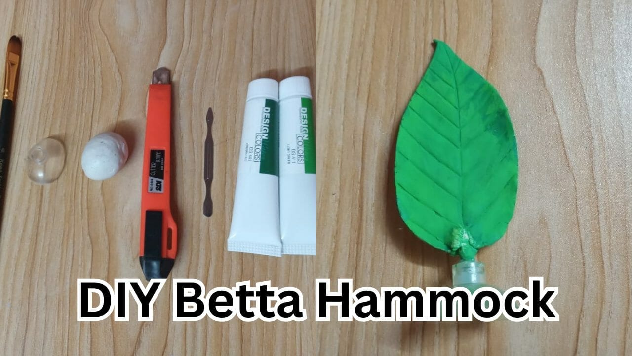 diy betta hammock