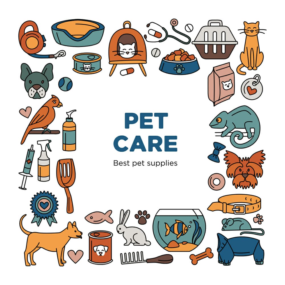 7 Essential Qualities Of A TopNotch Pet Store [Checklist] Acuario Pets