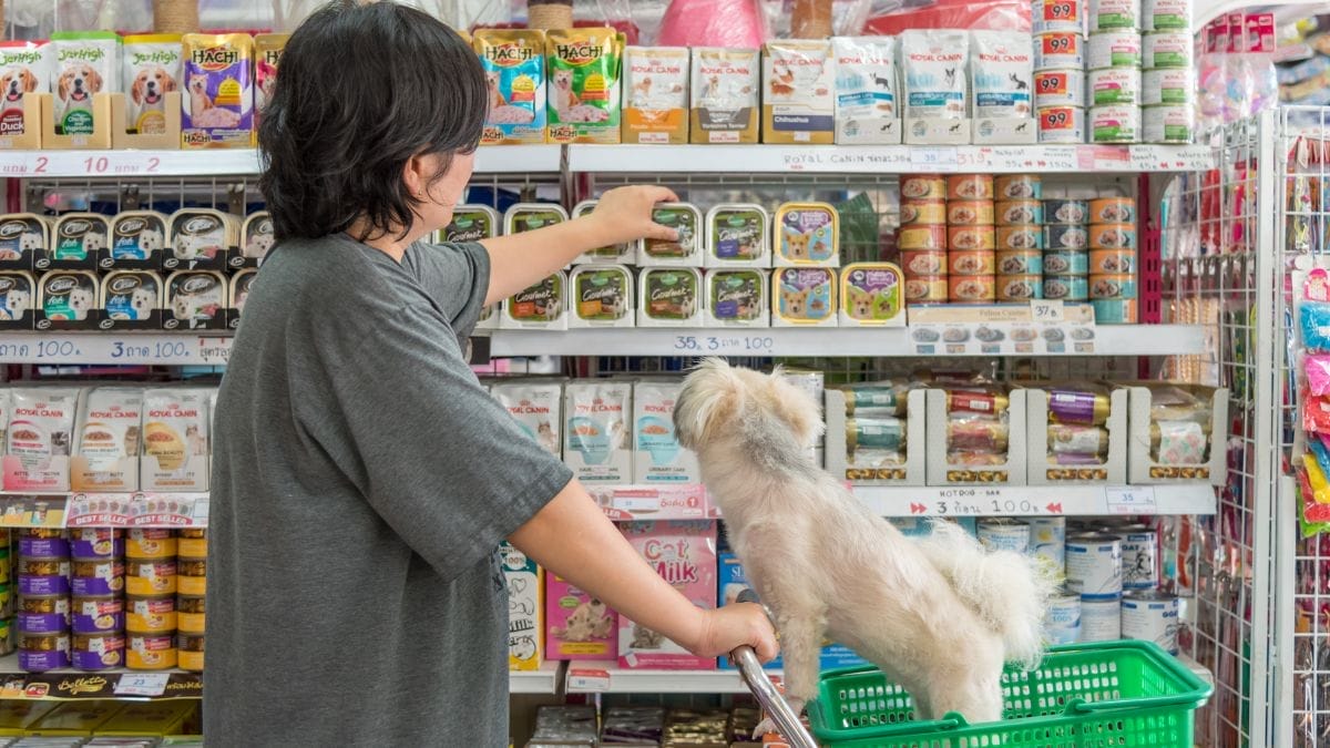 7 Essential Qualities Of A Top-Notch Pet Store [Checklist]