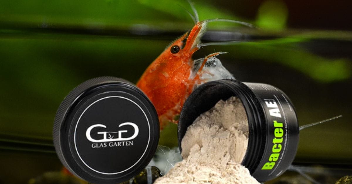 is bacter ae safe for shrimp