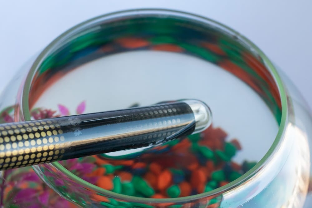 Heater Stick Too Hot For Betta Fish What To Do? Acuario Pets