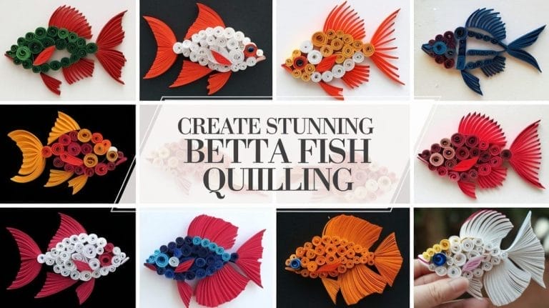 How to Quill a Beautiful Betta Fish: Easy Techniques for Beginners