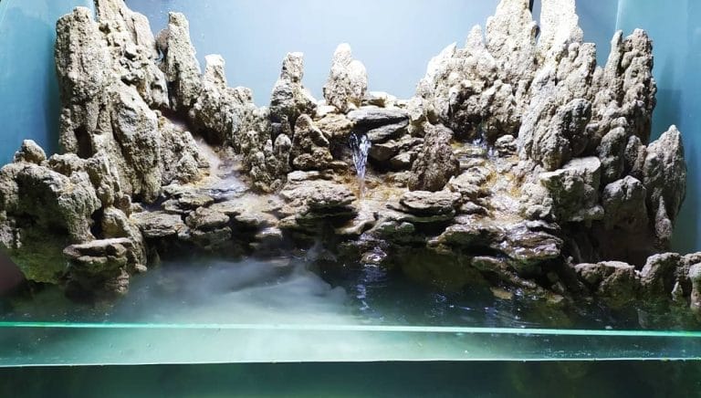 10 Waterfall Aquascaping Ideas Every Paludarium Lovers Needs to Try